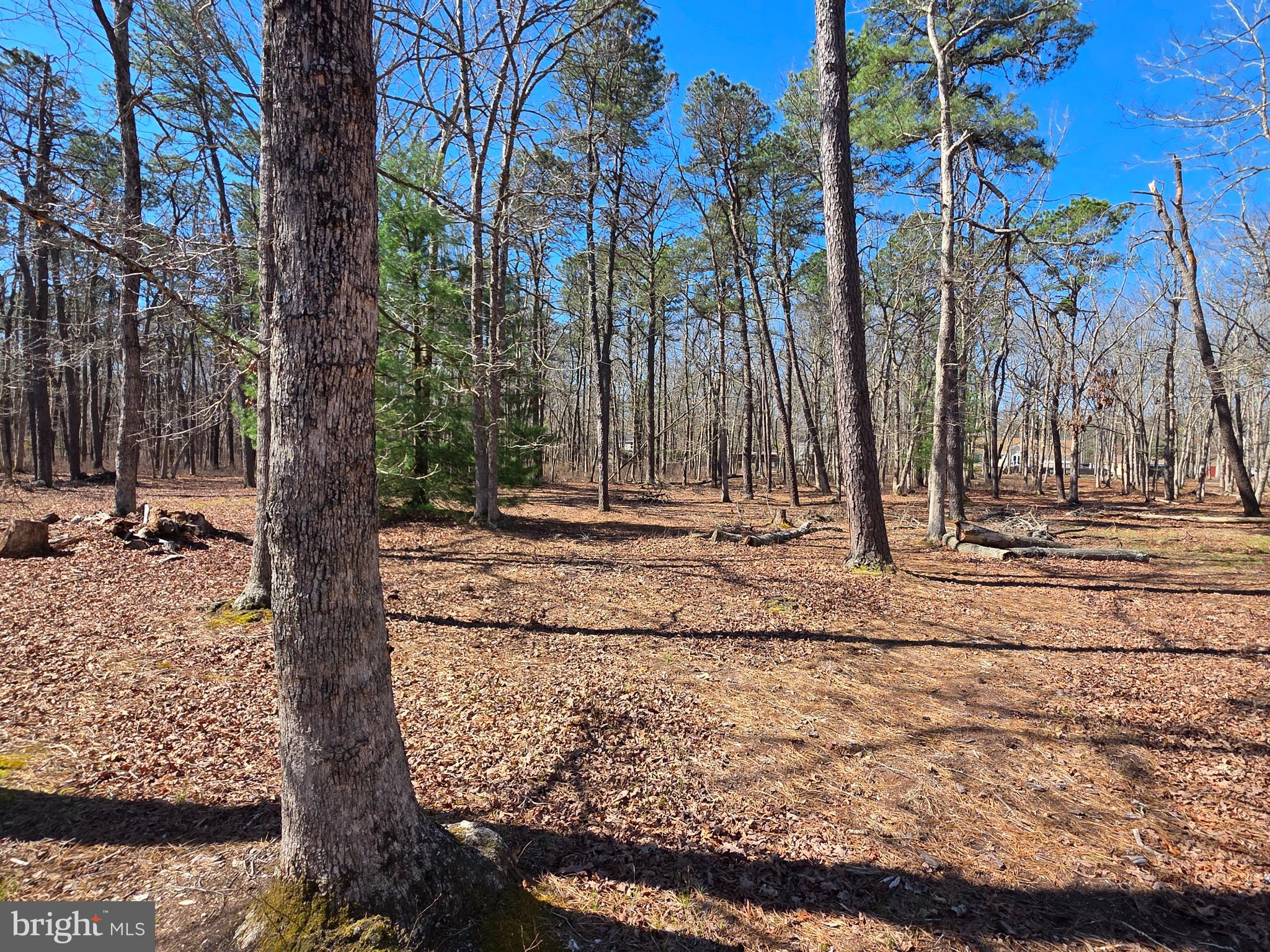 620 Columbia Road Egg Harbor City, NJ 08215 - Photo 45 of 53 a view of a backyard of the house