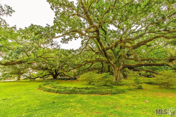 $2,300,000 | 4084 Highway 311, Houma, LA 70360