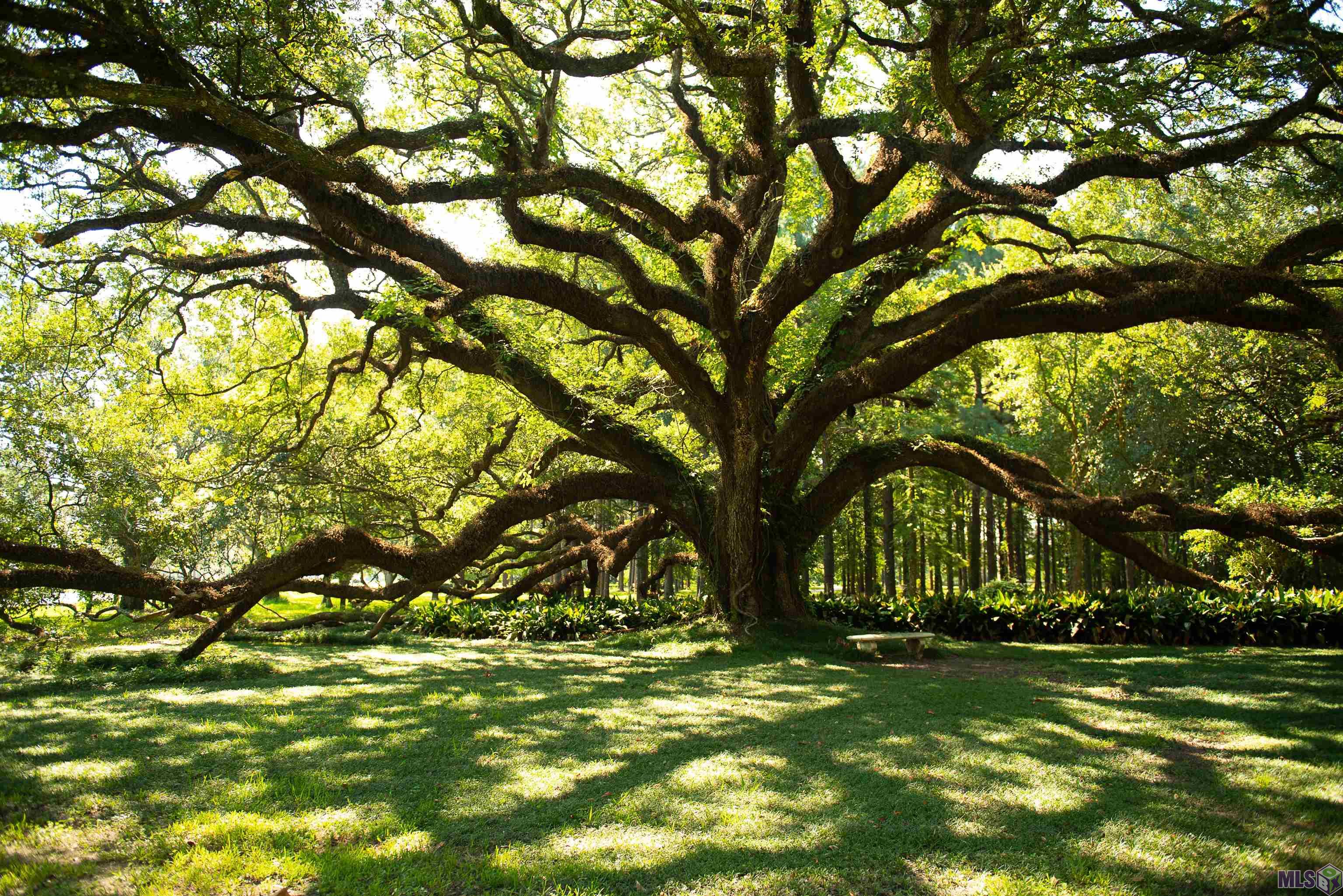 4084 Highway 311 Houma, LA 70360 - Photo 47 of 56