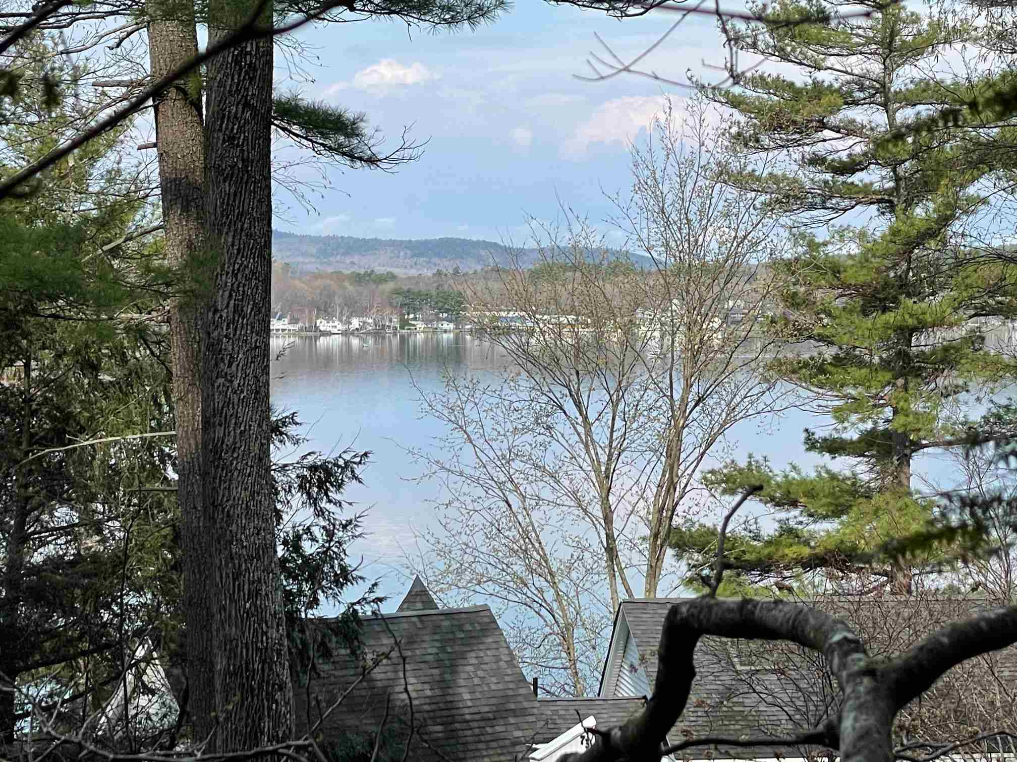 74 Pinnacle Park Road Meredith, NH 03253 - Photo 1 of 4