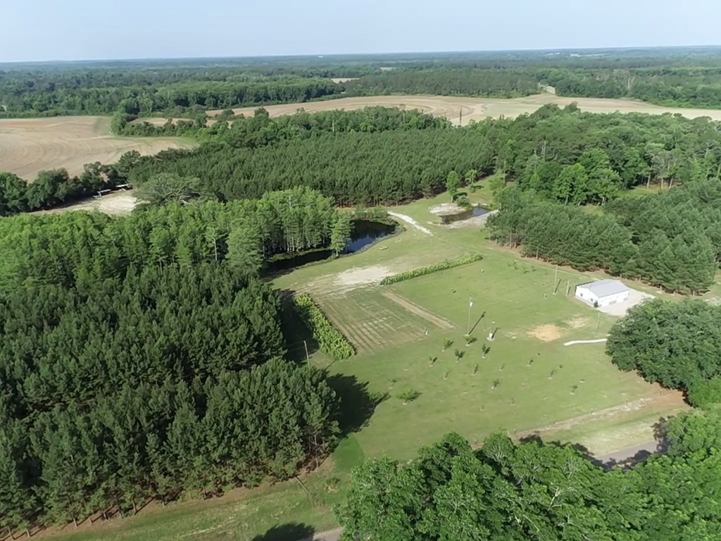 3876 D D Hodge Road Cottonwood, AL 36320 - Photo 37 of 48