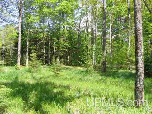 Tbd East Shore Road Bruce Crossing, MI 49912 - Photo 3 of 3