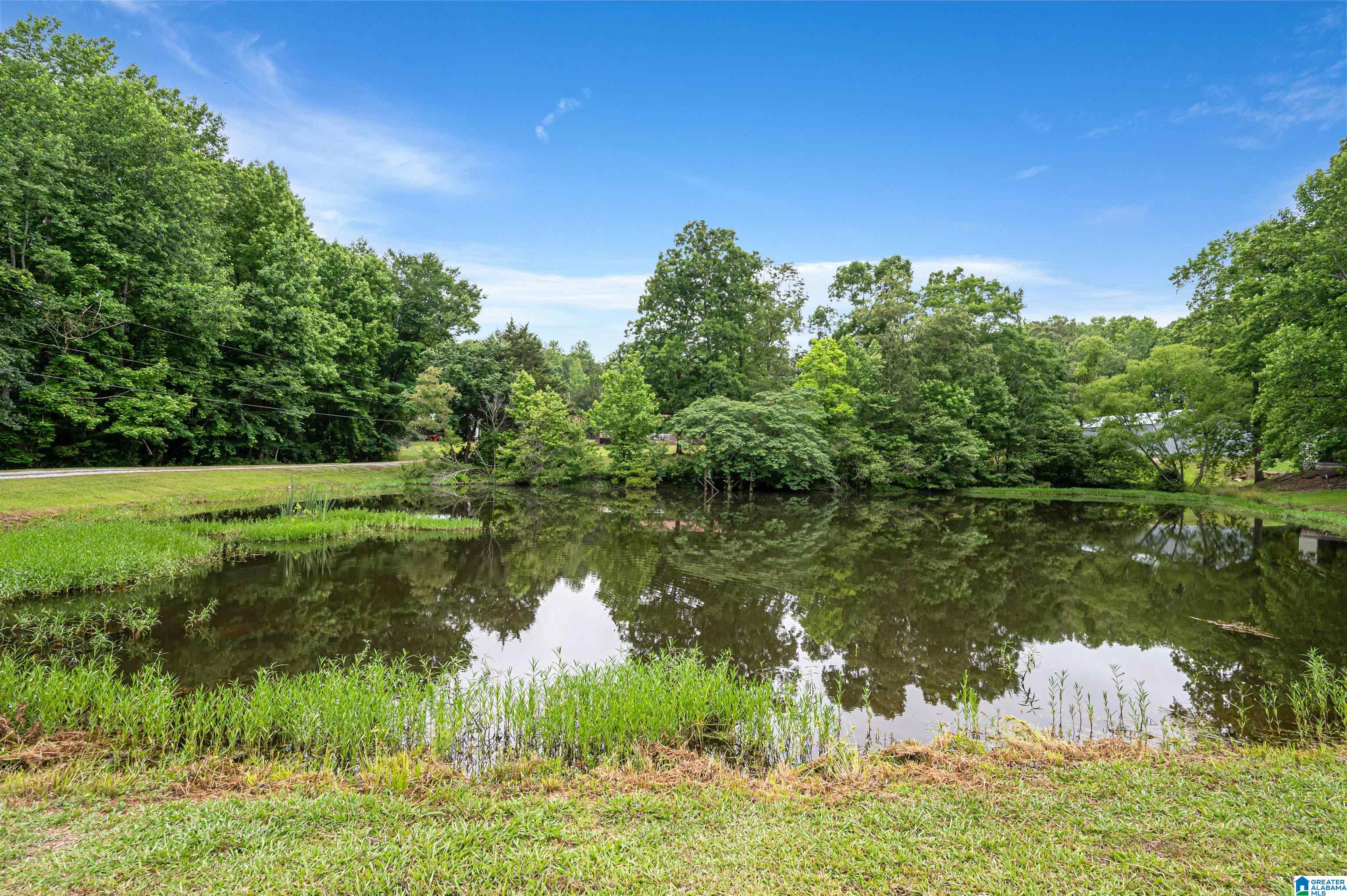 3869 Highway 155 Montevallo, AL 35115 - Photo 50 of 66