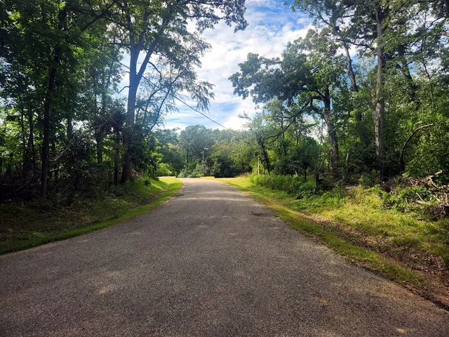a view of a yard with a tree