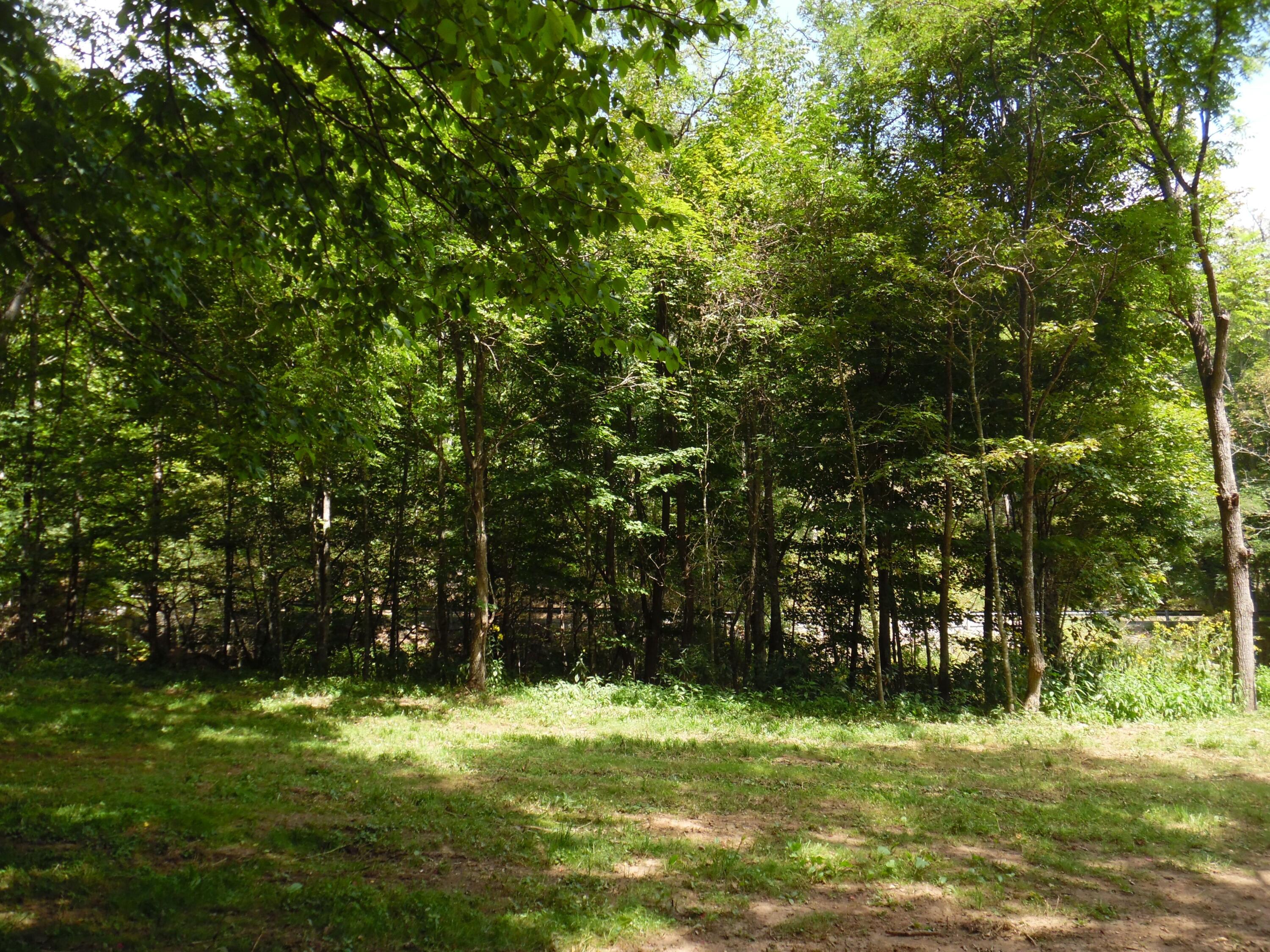6234 Edray Road Cass, WV 24927 - Photo 27 of 66 Gallery Image 27