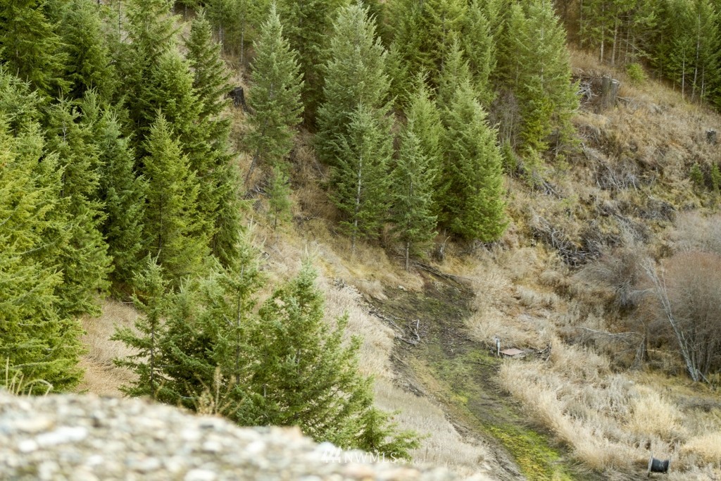 1 Snowshoe Road Oroville, WA 98844 - Photo 17 of 20 Gallery Image 17