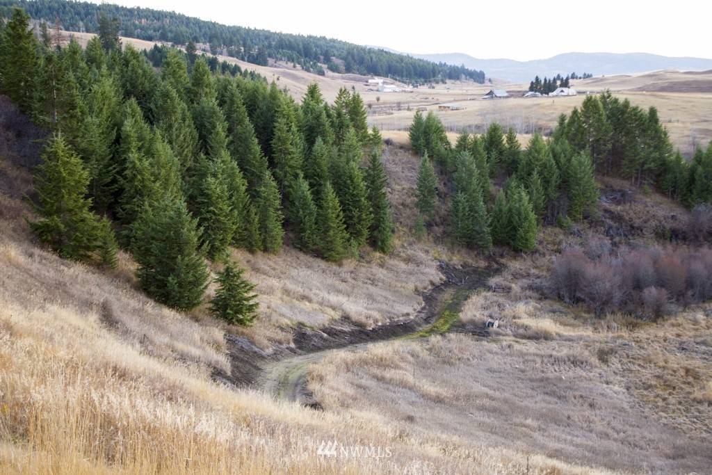 1 Snowshoe Road Oroville, WA 98844 - Photo 18 of 20 Gallery Image 18