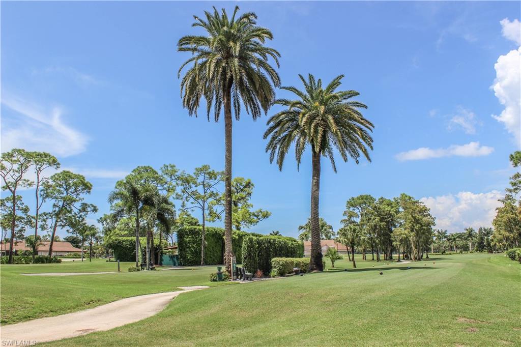 197 Albi Road, Unit 202 Naples, FL 34112 - Photo 12 of 12 a palm tree sitting in front of a yard