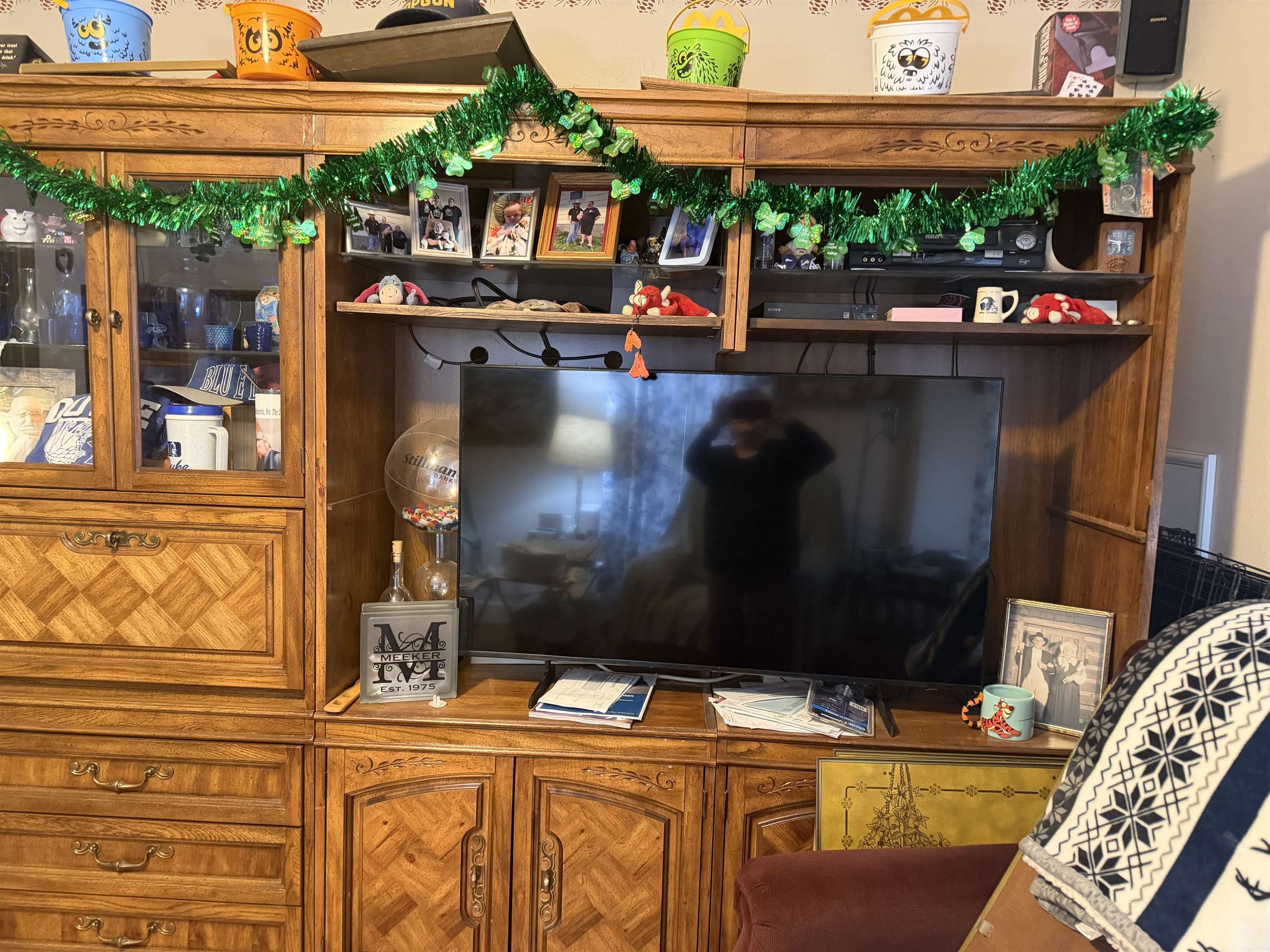 509 North Walnut Street Byron, IL 61010 - Photo 12 of 15