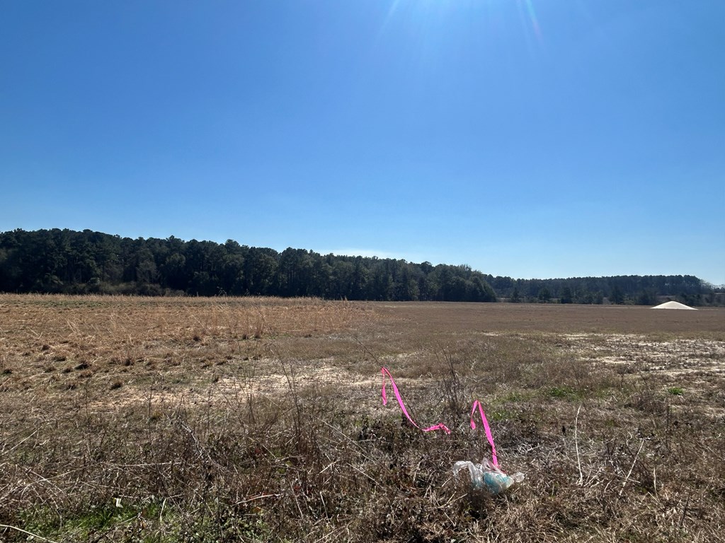 15-ac Webb Road Dothan, AL 36301 - Photo 16 of 33