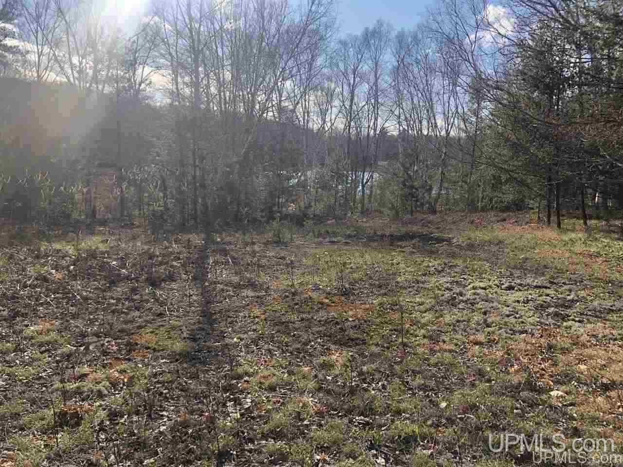 40 West Smith Lake Road Manistique, MI 49854 - Photo 6 of 24