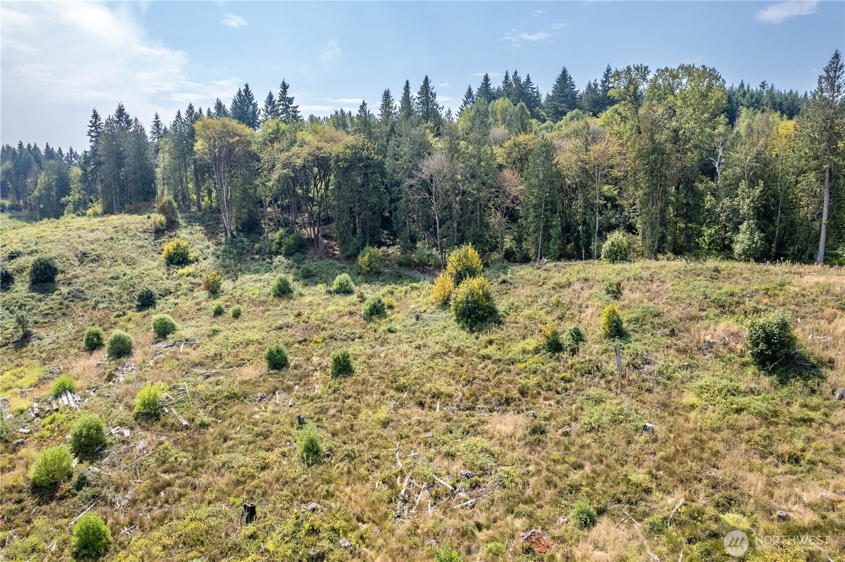0 Newaukum Valley Road Chehalis, WA 98532 - Photo 7 of 11
