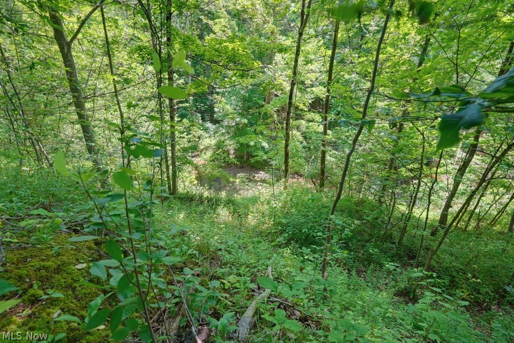 0 North Chillicothe Road Aurora, OH 44202 - Photo 19 of 36