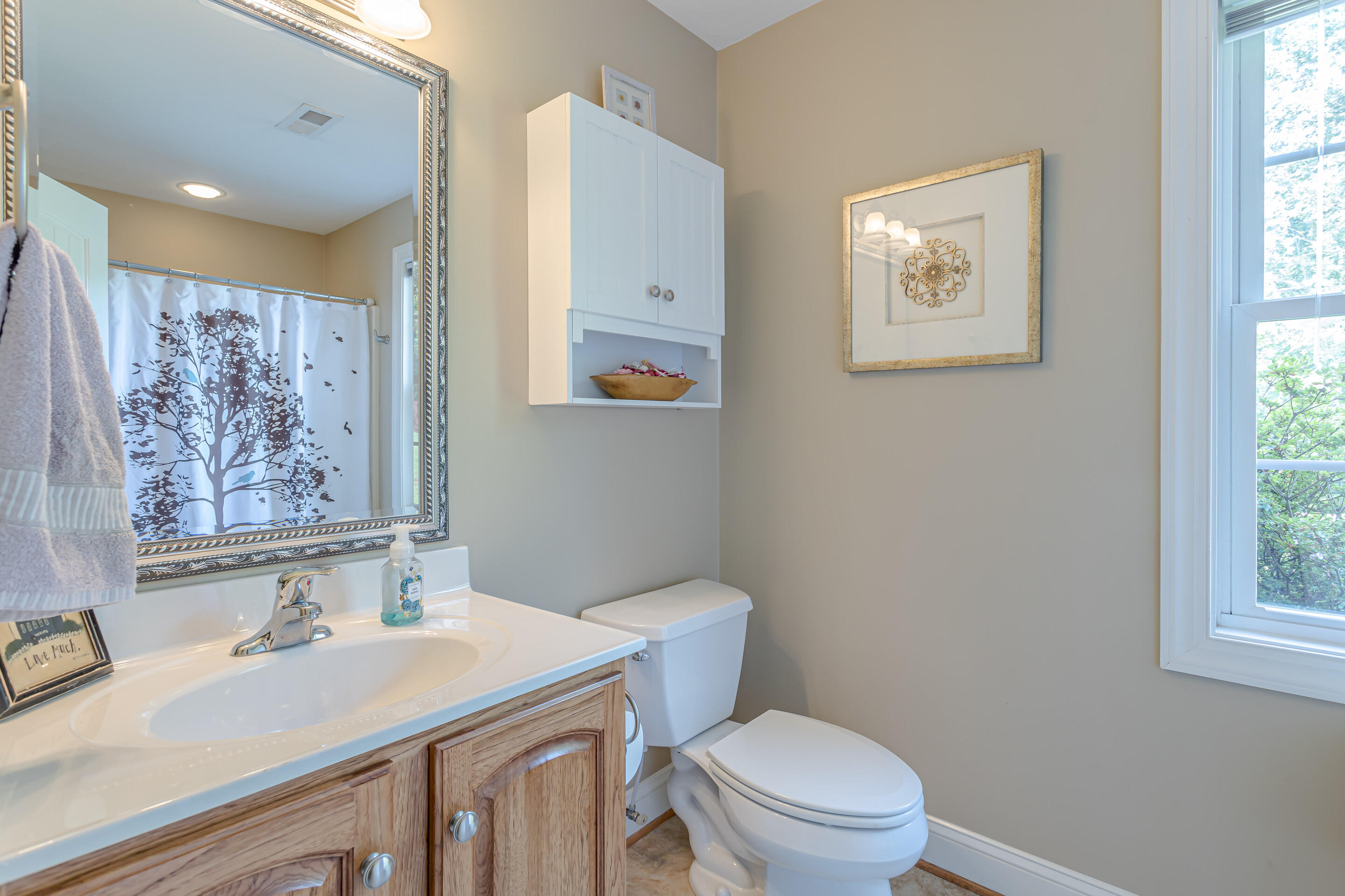 4510 Bethlehem Road Boones Mill, VA 24065 - Photo 27 of 48 a bathroom with a toilet sink and mirror