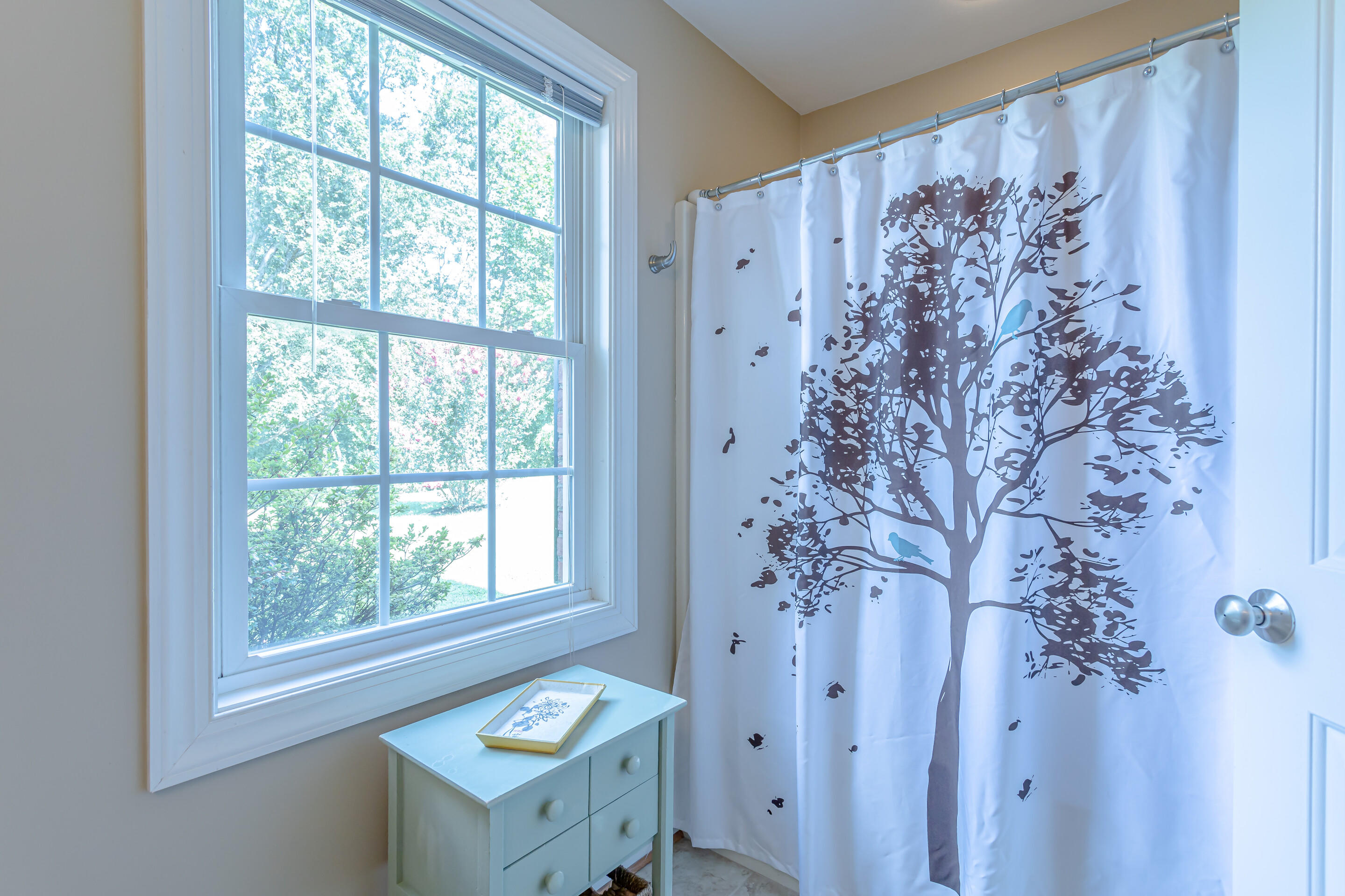 4510 Bethlehem Road Boones Mill, VA 24065 - Photo 28 of 48 a bathroom with a shower curtain and a window