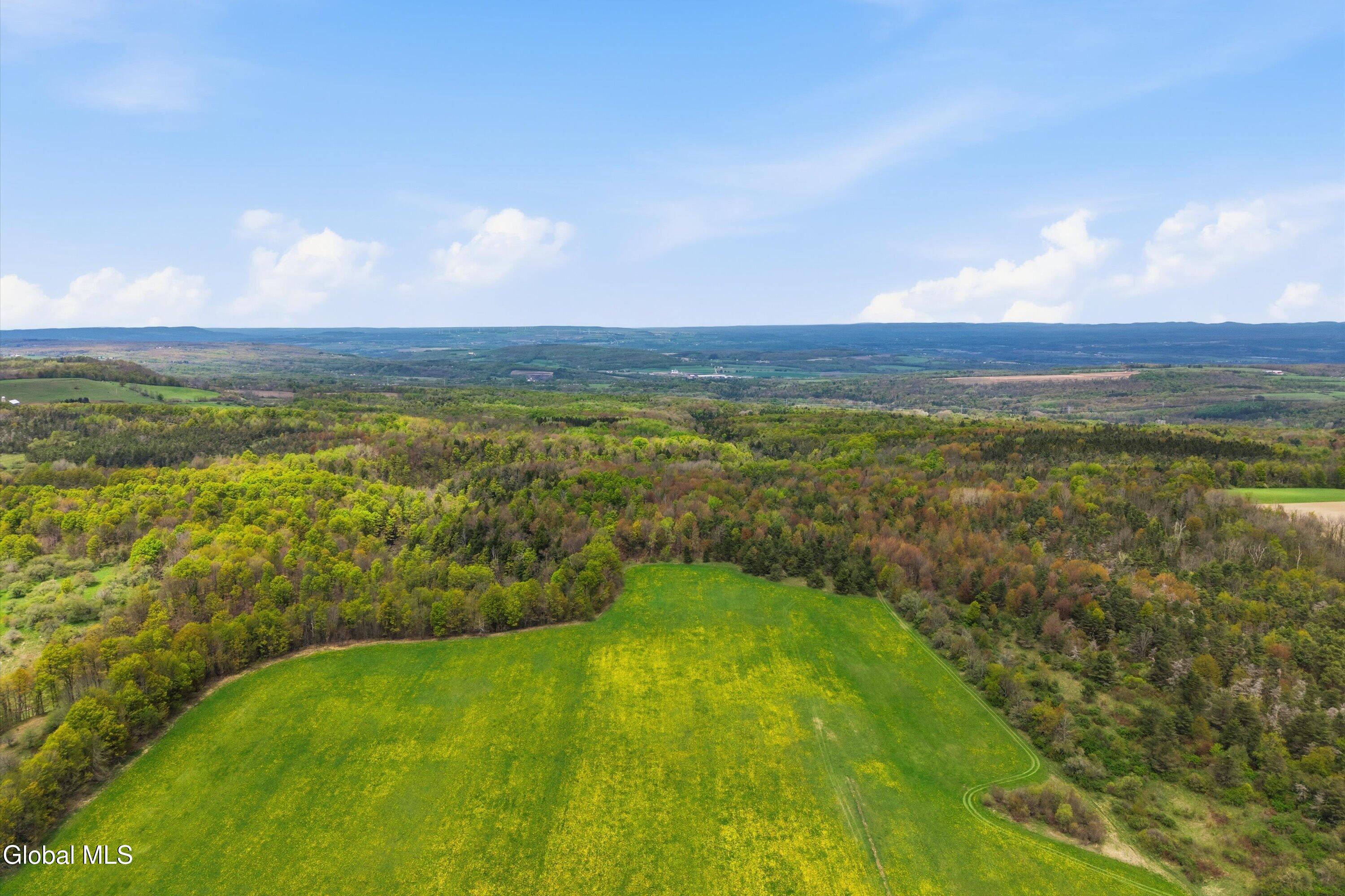 L27 Travis Road Fort Plain, NY 13339 - Photo 2 of 11 177.70 acre - Travis Rd lot