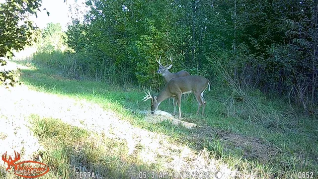 $1,089,000 | 295 Posey Lane, Vaughan, MS 39179