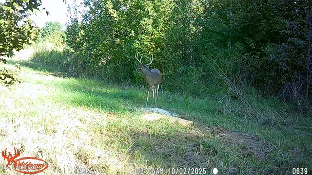 $1,089,000 | 295 Posey Lane, Vaughan, MS 39179