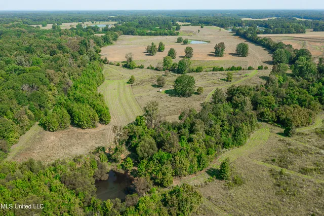$1,089,000 | 295 Posey Lane, Vaughan, MS 39179