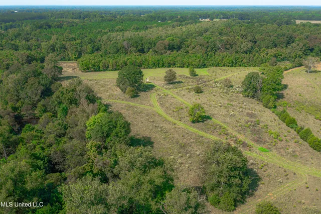 $1,089,000 | 295 Posey Lane, Vaughan, MS 39179