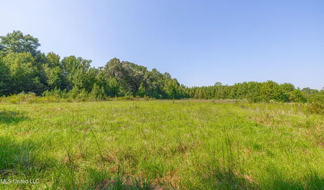 $1,089,000 | 295 Posey Lane, Vaughan, MS 39179