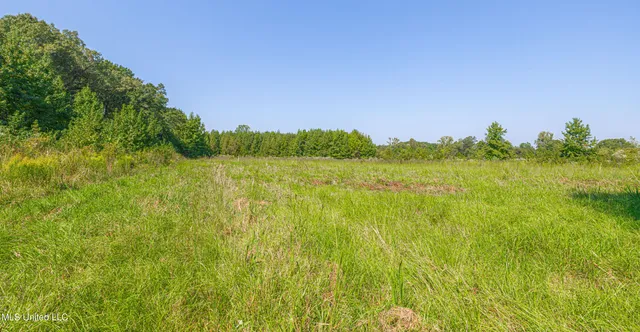 $1,089,000 | 295 Posey Lane, Vaughan, MS 39179