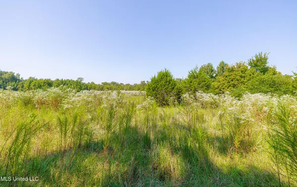 $1,089,000 | 295 Posey Lane, Vaughan, MS 39179