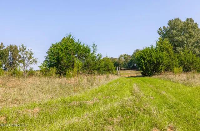 $1,089,000 | 295 Posey Lane, Vaughan, MS 39179