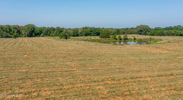 $1,089,000 | 295 Posey Lane, Vaughan, MS 39179