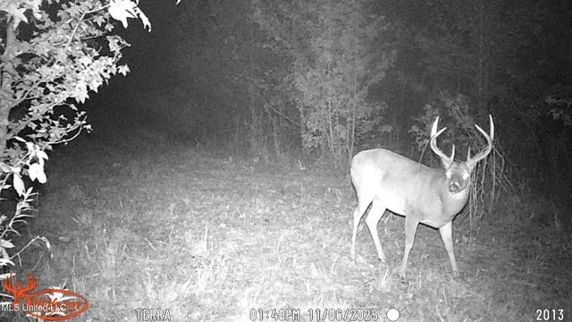 $1,089,000 | 295 Posey Lane, Vaughan, MS 39179