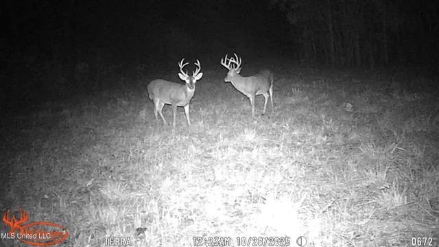 $1,089,000 | 295 Posey Lane, Vaughan, MS 39179