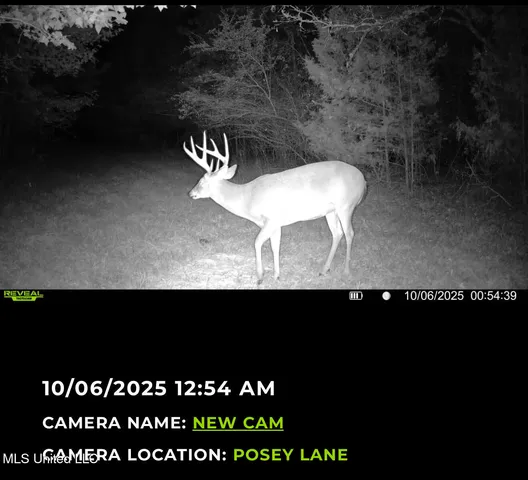 $1,089,000 | 295 Posey Lane, Vaughan, MS 39179