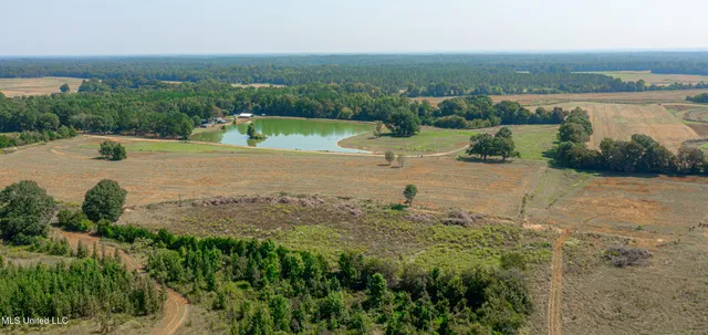 $1,089,000 | 295 Posey Lane, Vaughan, MS 39179