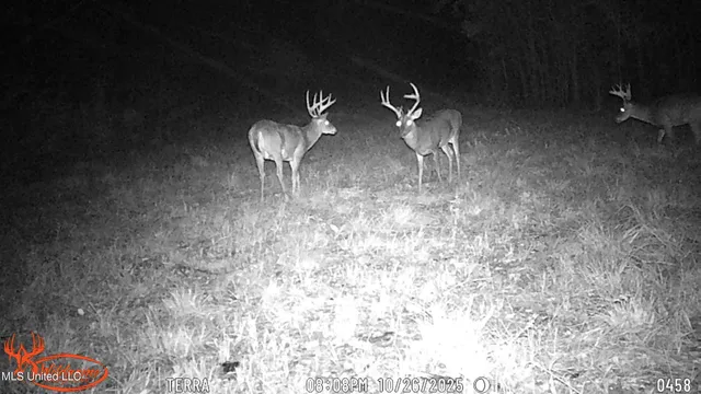 $1,089,000 | 295 Posey Lane, Vaughan, MS 39179