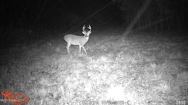 $1,089,000 | 295 Posey Lane, Vaughan, MS 39179