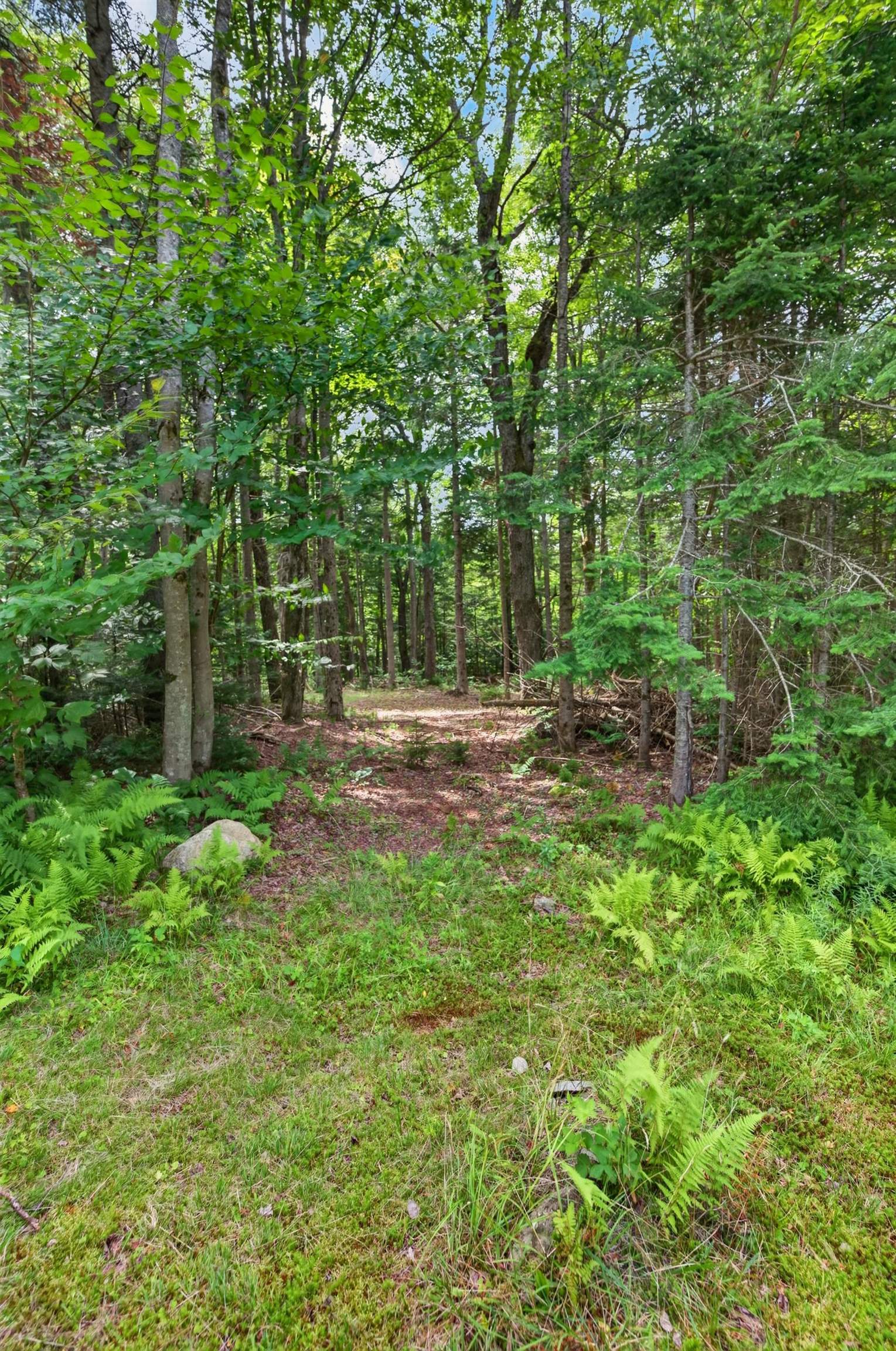443 E Road Whitingham, VT 05361 - Photo 22 of 26 Gallery Image 22