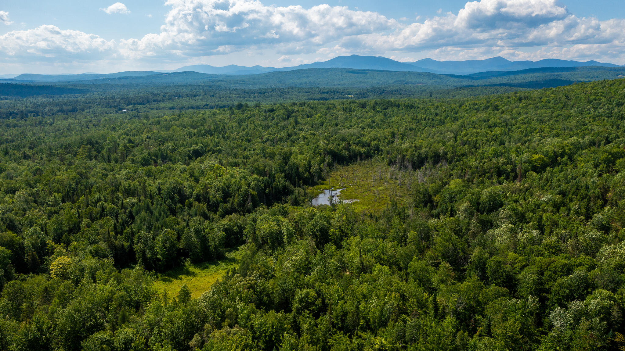 0 Miller Road New Vineyard, ME 04956 - Photo 44 of 48 MNewportland-37