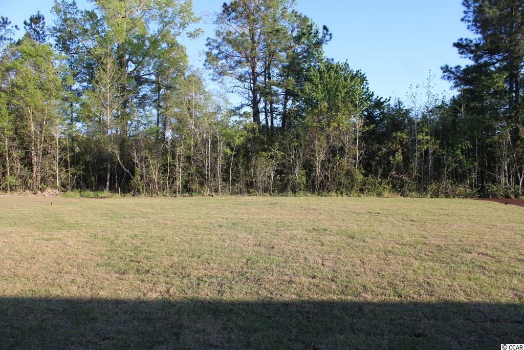 5238 Huston Road Conway, SC 29526 - Photo 19 of 27 Gallery Image 19