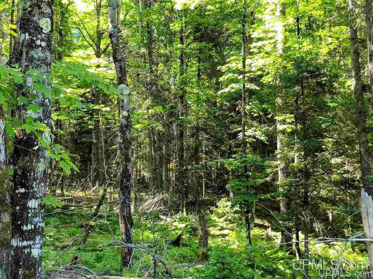 1356 Bates-Amasa Road Iron River, MI 49935 - Photo 5 of 11