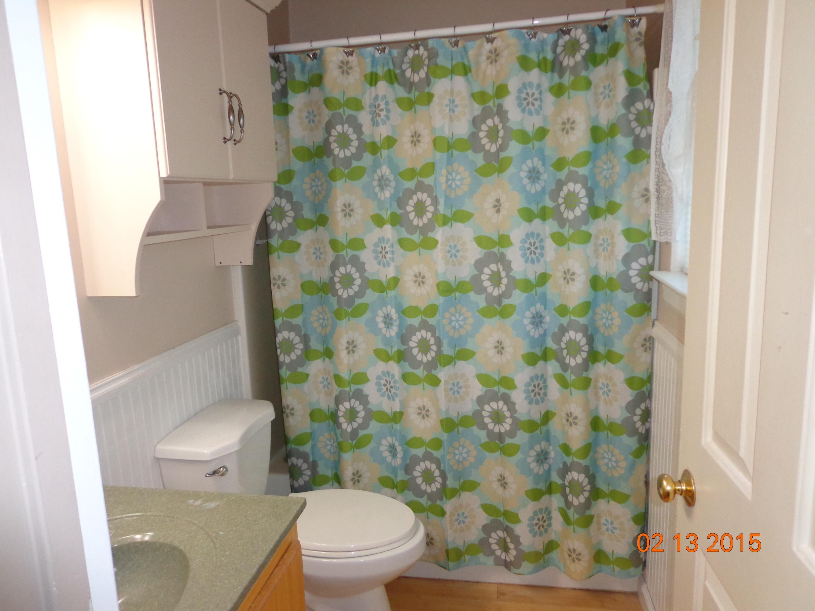 11 Northridge Road Hardy, VA 24101 - Photo 11 of 26 master bath- view 1