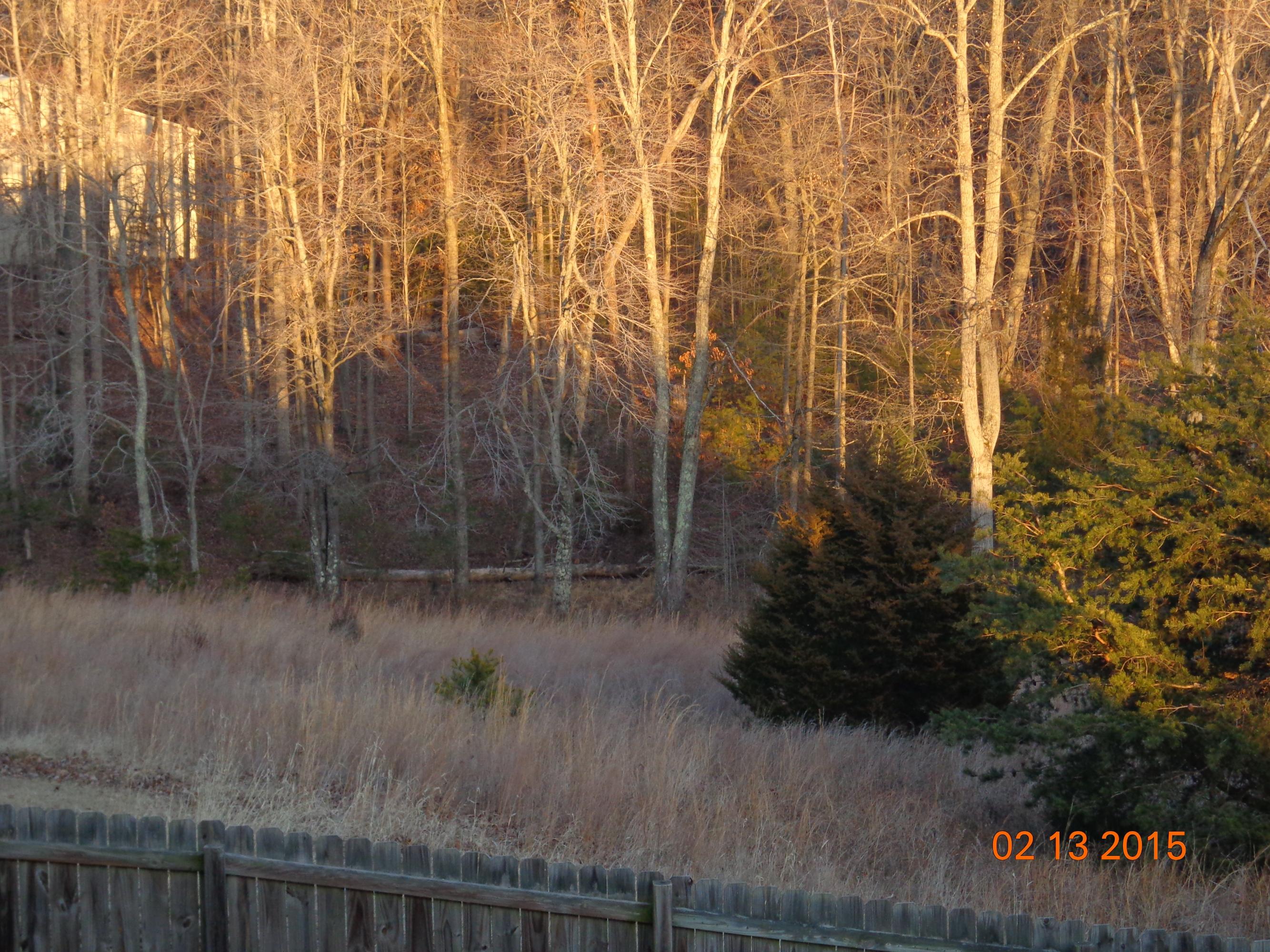 11 Northridge Road Hardy, VA 24101 - Photo 25 of 26 property extends to tree line
