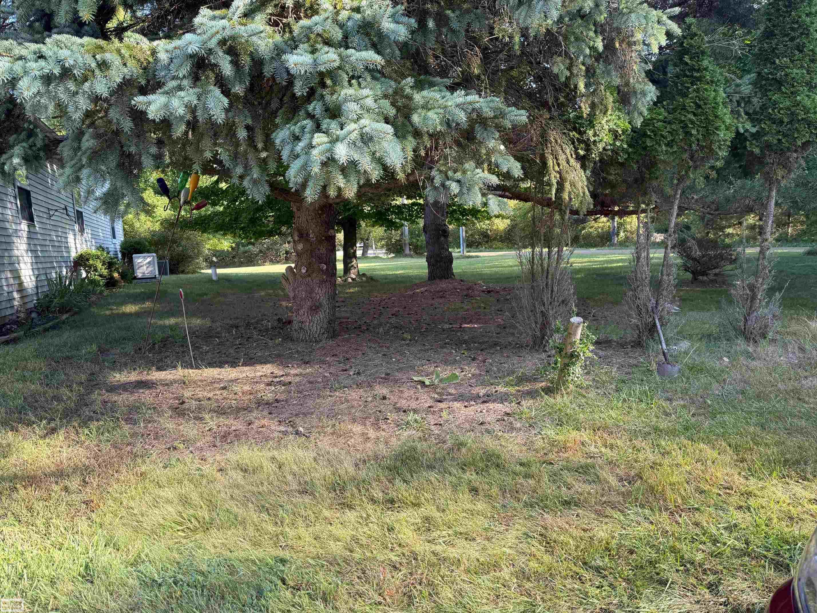 2173 North Youngs Road Attica, MI 48412 - Photo 23 of 24 50190686-09cbef2f-ff5d-496b-8a89-4db860314a25.JPG