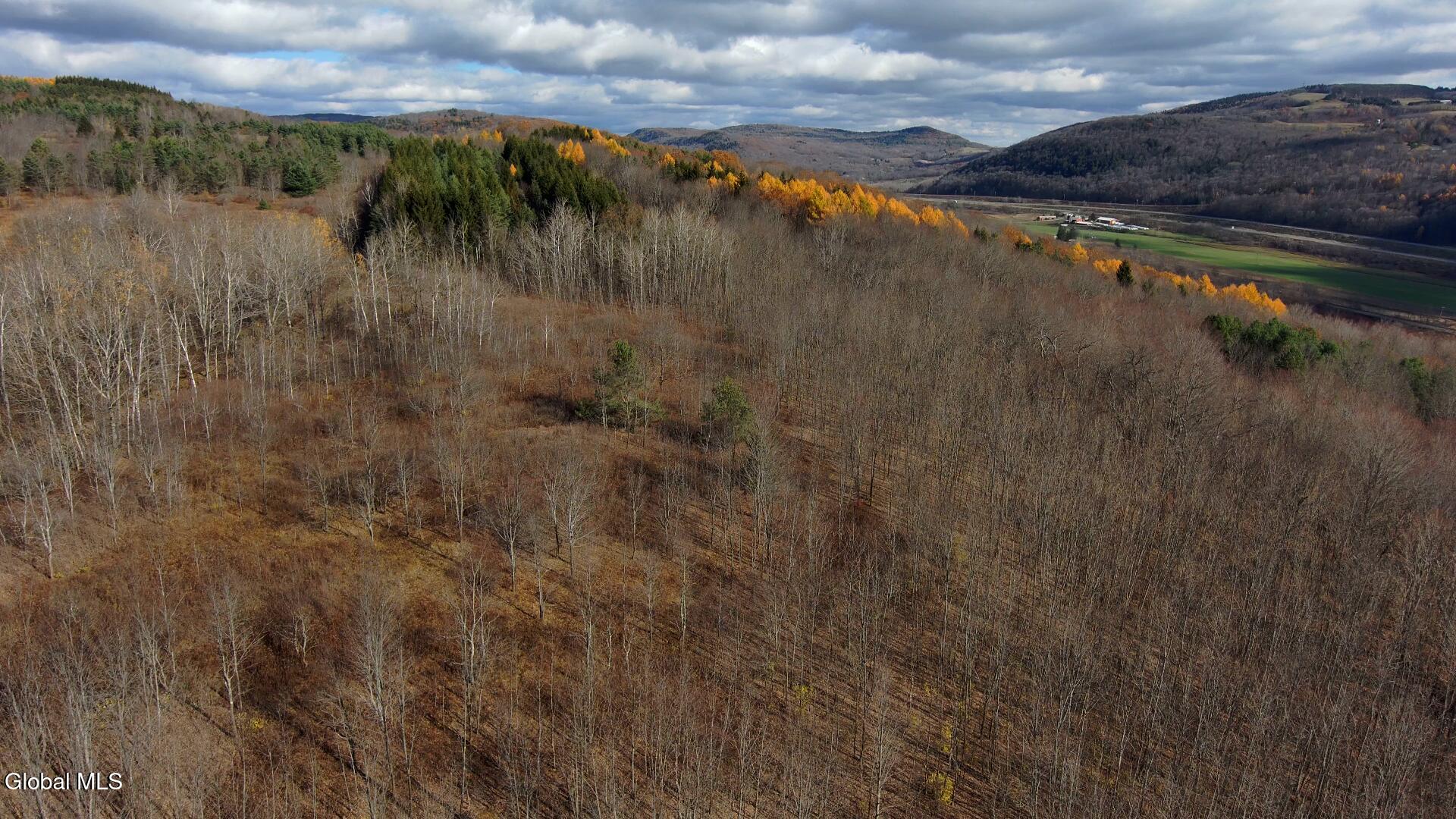 1099 West Hill Road Worcester, NY 12197 - Photo 27 of 29 aerial woods