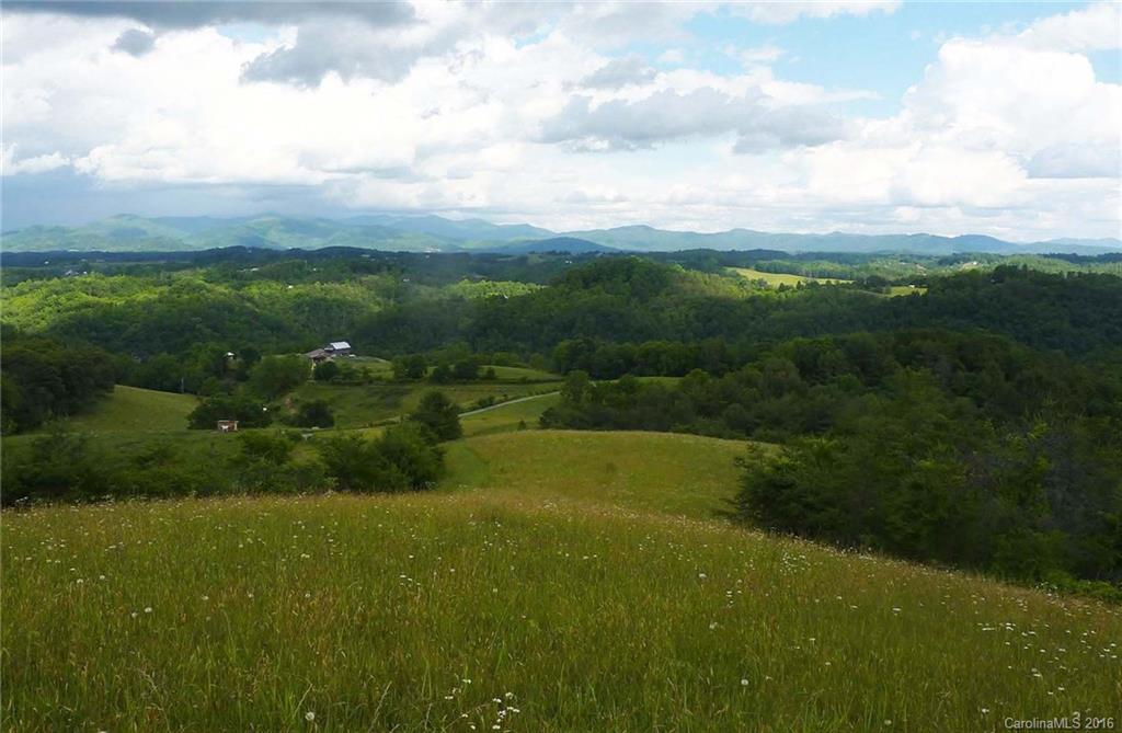 2833 Rector Corner Road Marshall, NC 28753 - Photo 2 of 6 Gallery Image 2