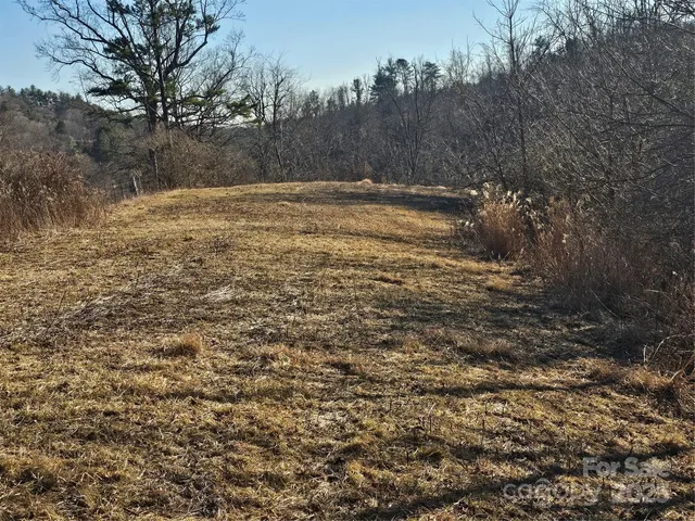 a view of dirt field with trees