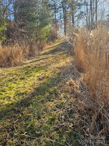 a view of a yard with wooden fence