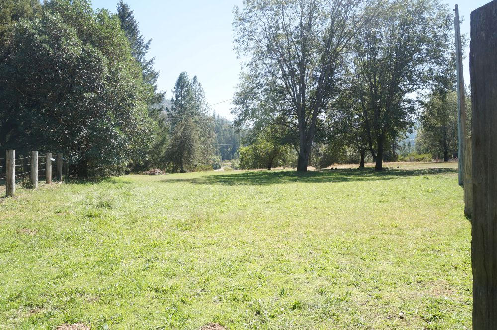 520 Senger Road Junction City, CA 96048 - Photo 14 of 24 Fenced Pastures
