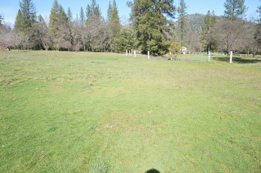 520 Senger Road Junction City, CA 96048 - Photo 15 of 24 Beautiful Acreage