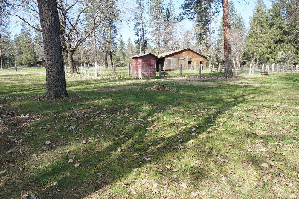 520 Senger Road Junction City, CA 96048 - Photo 17 of 24 Large barn & Pastures