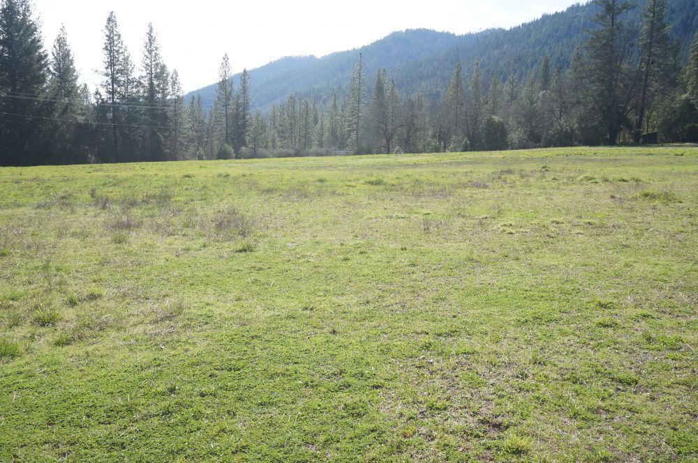 520 Senger Road Junction City, CA 96048 - Photo 22 of 24 Open Land